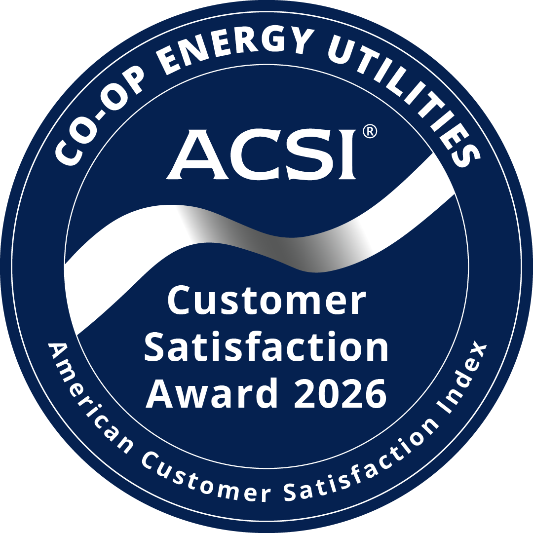 Snapping Shoals EMC&nbsp;earns this award based on data modeled by the ACSI® in 2026. Award criteria are determined by the ACSI based on customers rating their satisfaction with Snapping Shoals EMC in a survey independent of the syndicated ACSI Energy Utility Study. For more about the ACSI, visit&nbsp;www.theacsi.org/badges. ACSI and its logo are registered trademarks of the American Customer Satisfaction Index LLC.