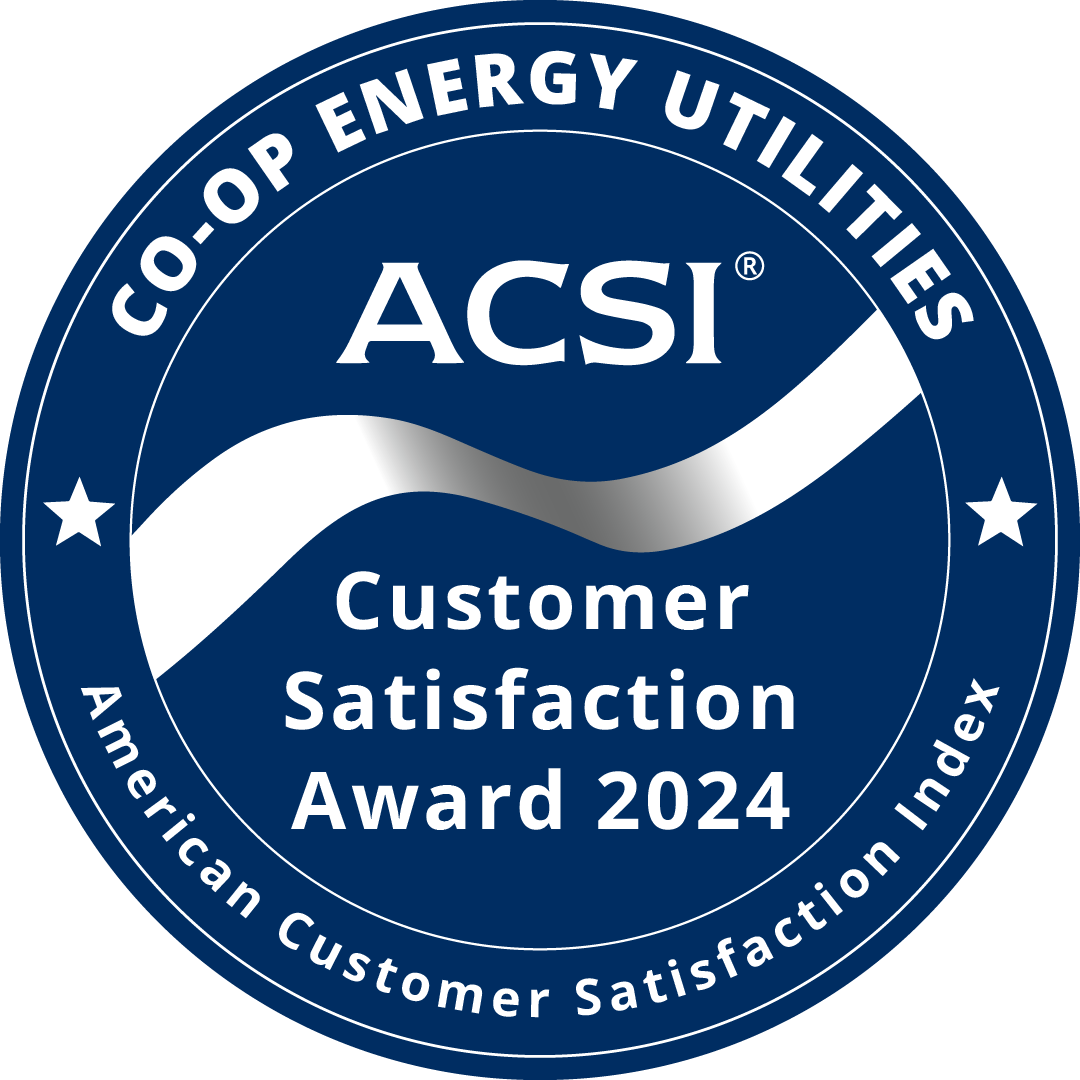 Snapping Shoals EMC&nbsp;earns this award based on data modeled by the ACSI® in 2024. Award criteria are determined by the ACSI based on customers rating their satisfaction with Snapping Shoals EMC in a survey independent of the syndicated ACSI Energy Utility Study. For more about the ACSI, visit&nbsp;www.theacsi.org/badges. ACSI and its logo are registered trademarks of the American Customer Satisfaction Index LLC.