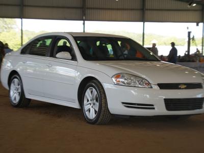 annual meeting photo