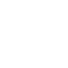 Car Icon